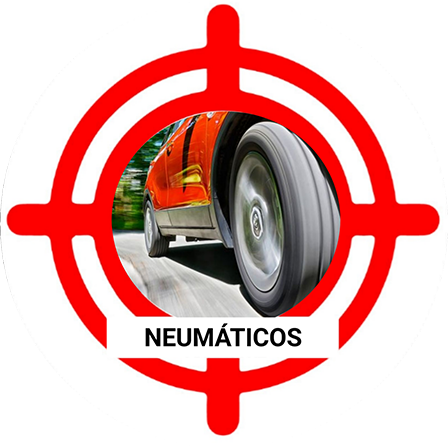 Neumáticos