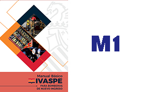 Manual 1 Ivaspe