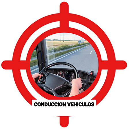 Test M6 CEIS Guadalajara - Conducción de Vehículos