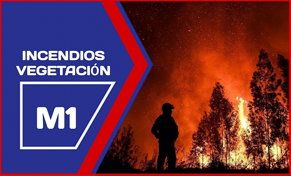 Incendios de Vegetación