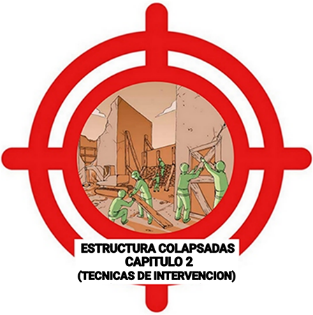 Test M3 CEIS  - Estructuras Colapsadas (Capítulo 2)