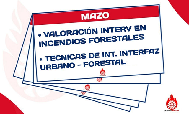 Mazo Incendios de Vegetación 4