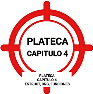 Tema 3.- Plan Territorial Insular de emergencias de Protección Civil de la Isla de Tenerife. Cap. 4